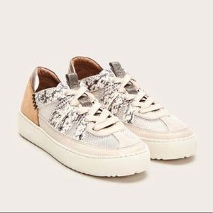 Frye Webster Off White Snakeskin 6.5 Sneaker Shoes